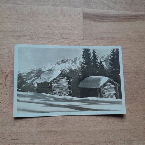 AK Karnische Alpen. Kärnten.
