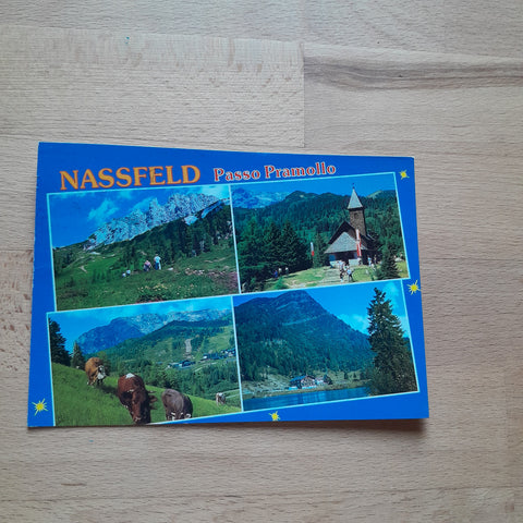 AK Nassfeld Passo Pramollo.