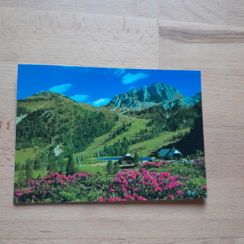AK Watschiger Alm Sonnenalpe Nassfeld.