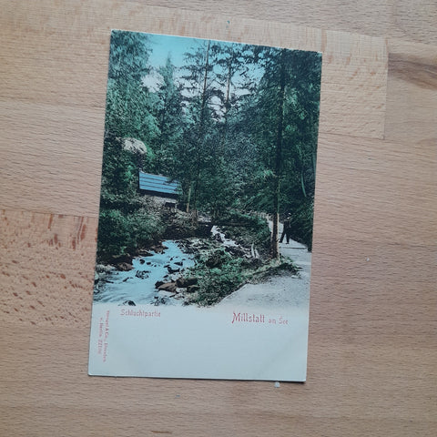 AK Millstatt am See. Schluchtpartie.