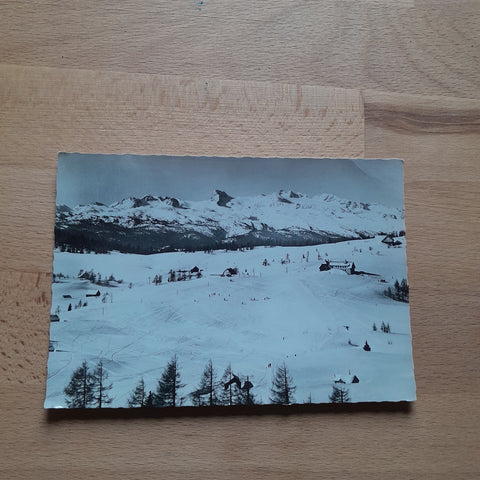 AK Schigebiet Tauplitzalm geg. Dachstein.