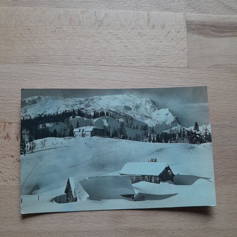 AK Mitterndorf: Hollhaus (Rossalm) (1927)