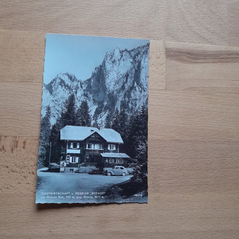 AK Gastwirtschaft und Pension Seehof am Grünen See geg. Pribitz.