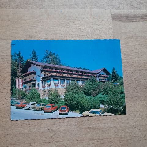 AK Fladnitz an der Teichalm 45. Sporthotel Styria.