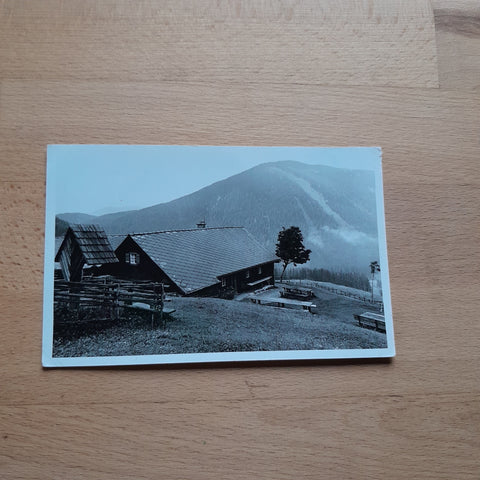 AK Tyrnauer-Alm. A. u. M. Mandl.