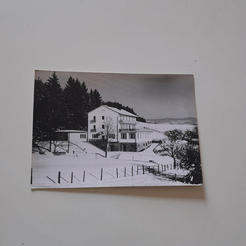 AK Fladnitz an der Teichalm. Haus Stonner.