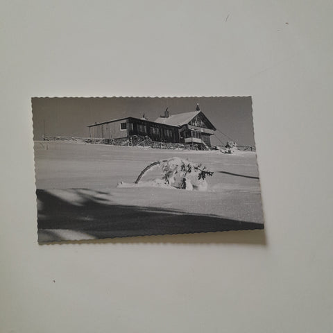 AK Rosegger-Hütte Pretulalpe.