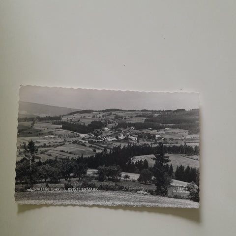 AK Strallegg.