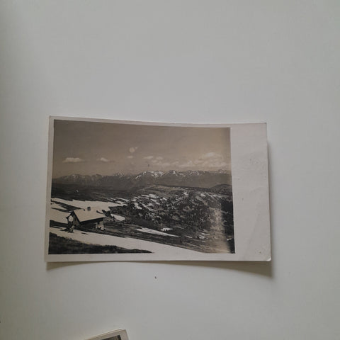 AK Klosterneuburgerhütte auf der Tanzstatt Blick auf den Steinerkogel. (1931)