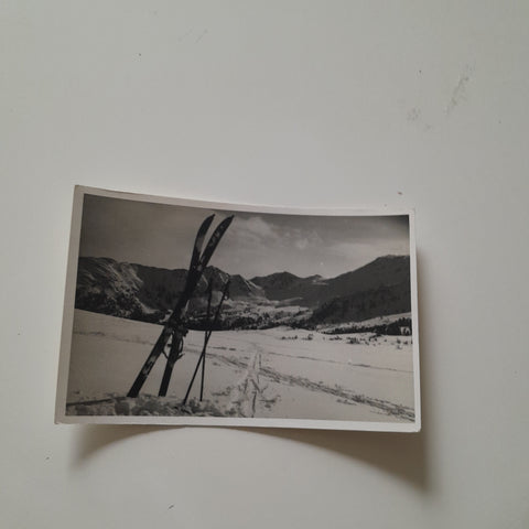 AK In den Seckaueralpen.