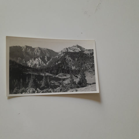 AK Hochschwab. Senkbodenalm.