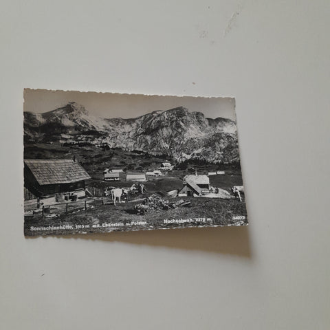 AK Sonnschienhütte mit Ebenstein u. Polster.