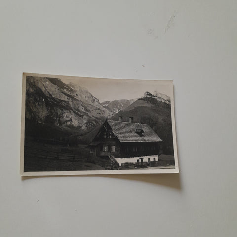 AK Mesneralpe Gstwirtschaft Elsenheim Buchberg.
