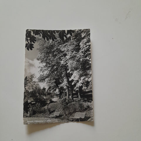 AK Aflenz Kurpark.