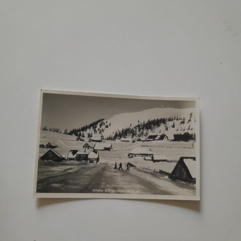 AK Aflenzer Bürgeralpe.