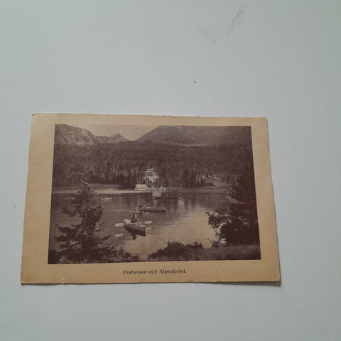 AK Prebersee mit Alpenhotel.