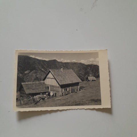 AK Auf der ...liem Alm in Muhr.