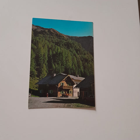 AK Vögeialm in Forstau.