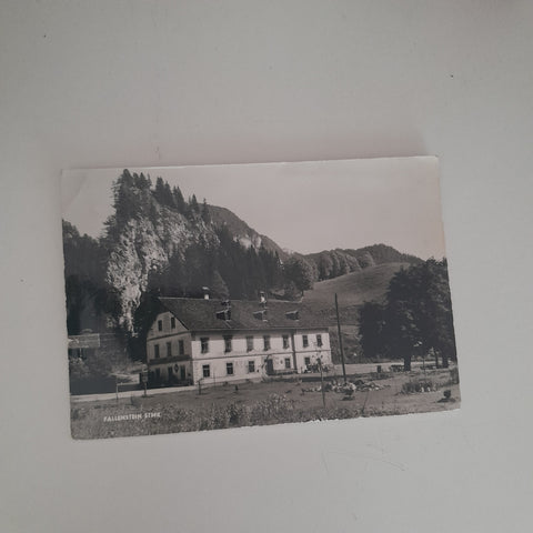 AK Fallenstein.