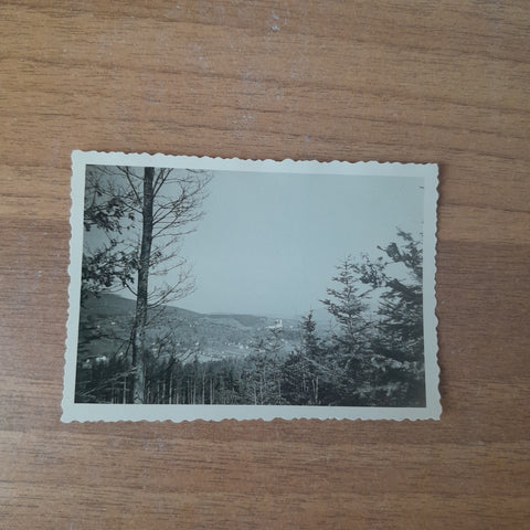 Foto Blick Richtung Weiz (1938)
