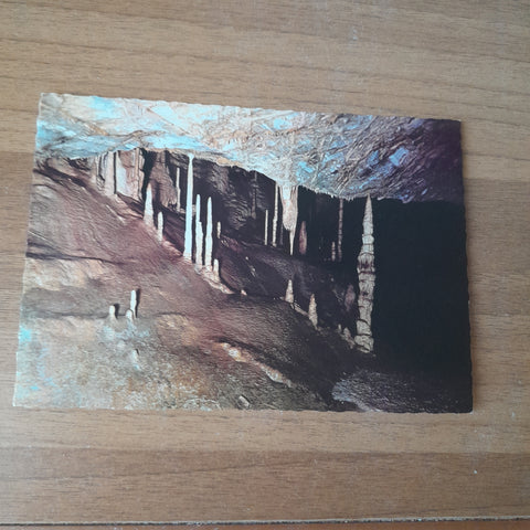AK Tropfsteinhöhle Katerloch bei Weiz. Eingang Forscherwohnung. Inhaber: Hermann und Regina Hofer.