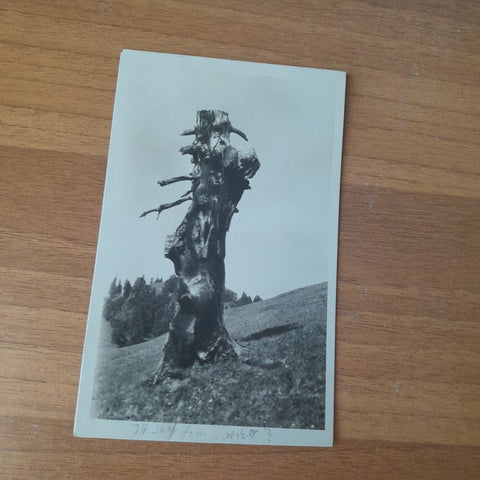 AK Der Rübezahl am Hohen Zetz.