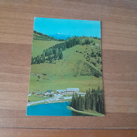 AK Almgasthof Zum Teichwirt. Teichalm.