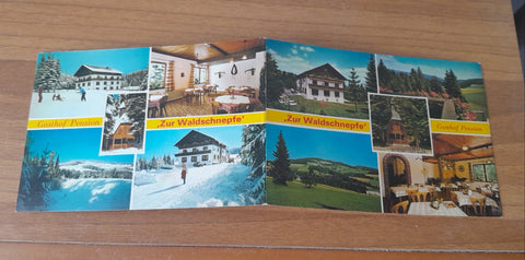 Doppel-AK Strallegg, Pacher 64. Gasthof Pension zur Waldschnepfe. Inhaber: Franz und Gertrude Bauernhofer.