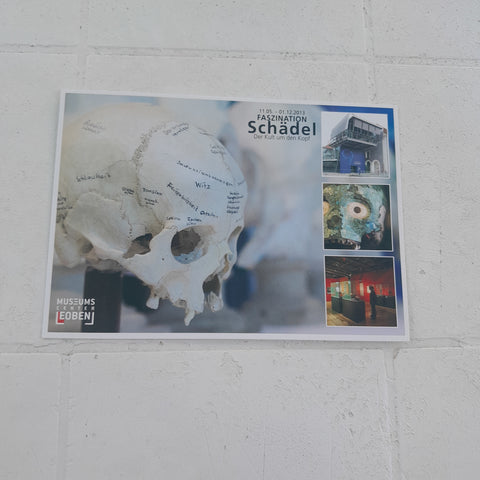 AK Leoben. Kunsthalle Ausstellung Faszination Schädel 2013.