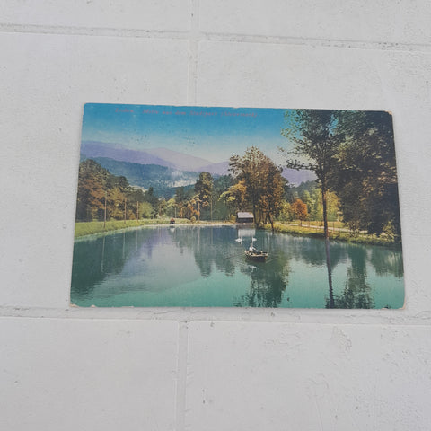 AK Leoben. Motiv aus dem Stadtpark.