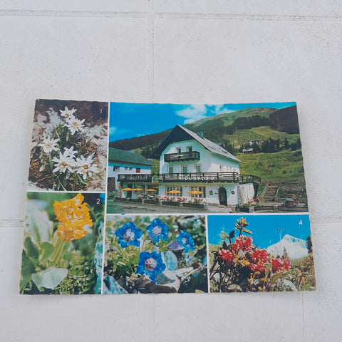 AK Präbichl. Gasthof Alpenrose. Herbert u. Hemma Begusch.