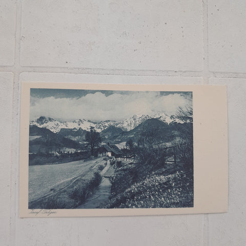 AK Der Lenz im Tal. (Josef Träger, Naturfreunde, Wiener Photo-Sektion)
