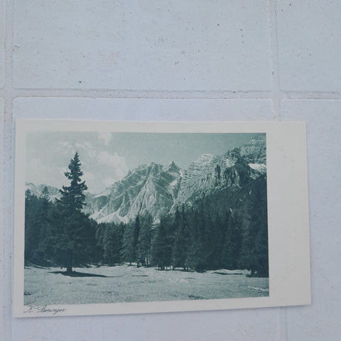 AK Abschiedsblick (Schlicker Alm) (K. Beninger, Naturfreunde, Wiener Photo-Sektion)