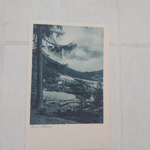 AK Abschiedsblick (Emil Nebauer, Naturfreunde, Wiener Photo-Sektion)