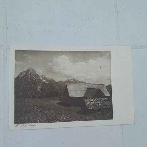 AK Blumige Matte (W. Feigelstock, Naturfreunde, Wiener Photo-Sektion)