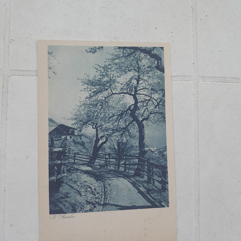 AK Heimweg (Karl Fessler), Naturfreunde, Wiener Photo-Sektion)