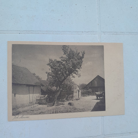 AK Hinterm Haus (Joh. Maurer), Naturfreunde, Wiener Photo-Sektion)