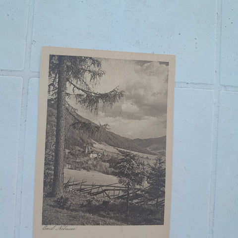 AK Abschiedsblick (Emil Nebauer, Naturfreunde, Wiener Photo-Sektion)