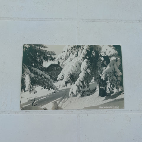 AK Winter am Schöckel. (um1929)