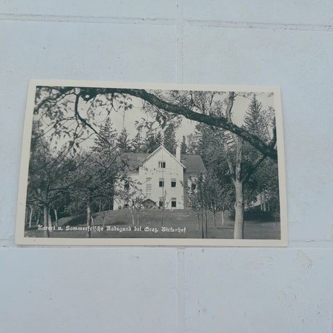 AK Radegund. bei Graz. Birkenhof. (1951)