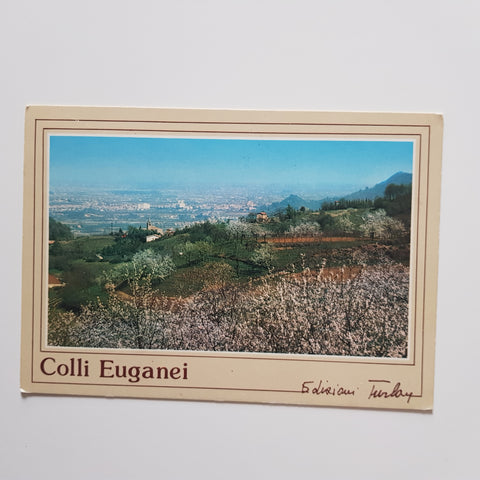 AK Torreglia Alta - Colli Euganei. Ciliegi in fiore.