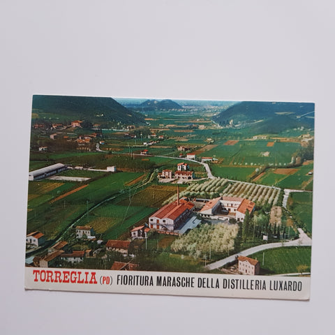 AK Colli Euganei. Torreglia. Fioritura delle marasche e distilleria Luxardo Maraschino.