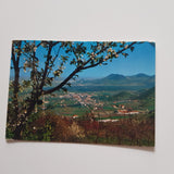 AK Torreglia. Colli Euganei. Panorama.