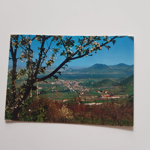 AK Torreglia. Colli Euganei. Panorama.