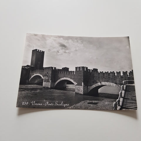 AK Verona Ponte Scaligero.