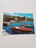 AK Torri del Benaco. Lago di Garda. Il Castello Scaligero.