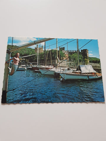 AK Torri del Benaco. Lago di Garda. Il Porto.