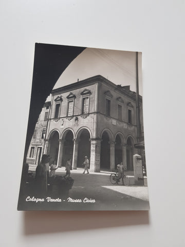 AK Cologna Veneta Museo Civico.