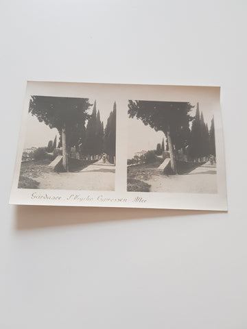 Stereo-Foto Gardasee S. Vigilio Zypressen-Allee.