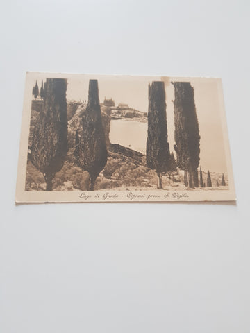 AK Lago di Garda. Cipressi presso S. Vigilio.